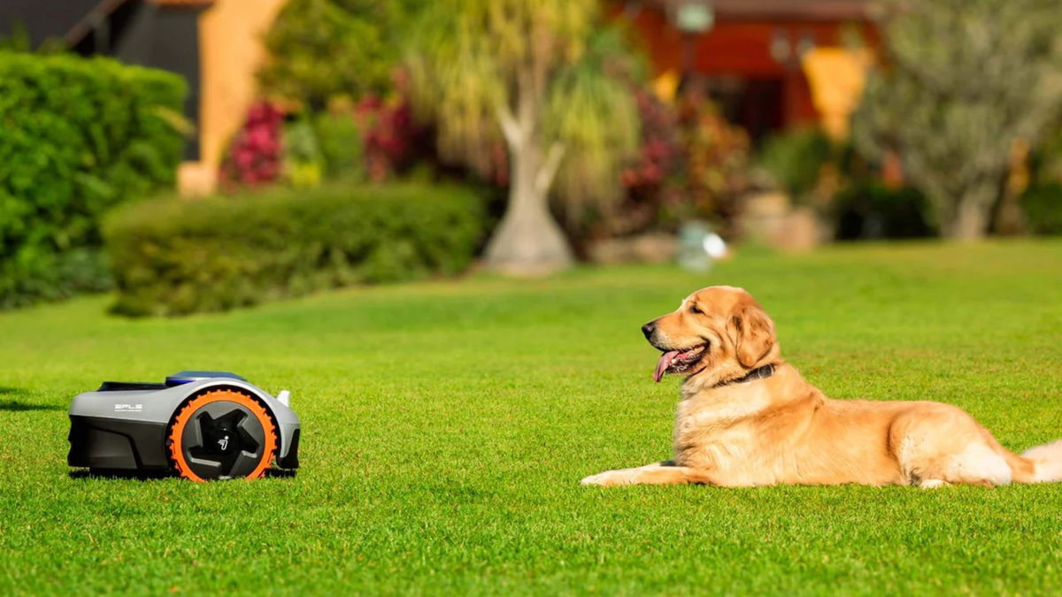 Tecnología RTK de alta precisión, visión e inteligencia artificial y 0 cables: el robot cortacésped que mereces tiene descuentazo