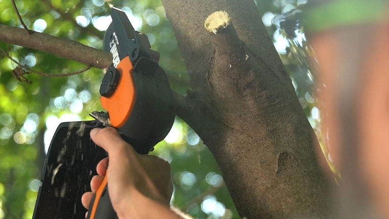 Potente para poda profesional: esta minimotosierra a batería es ligera y viene con alargador