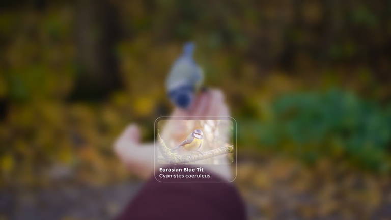 Google nos ha dado una pista de cómo será visualmente Android XR